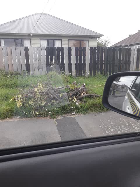 Rubbish/Recycling, a report photo