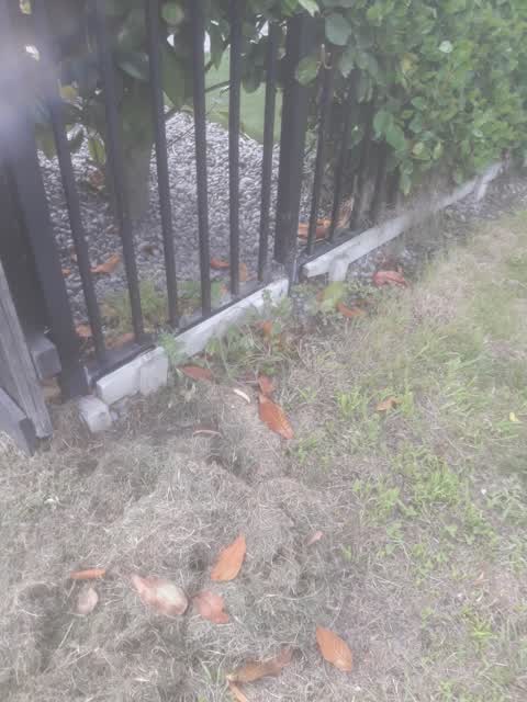 Parks, a report photo