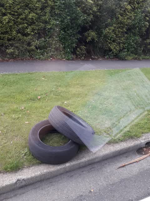 Rubbish/Recycling, a report photo
