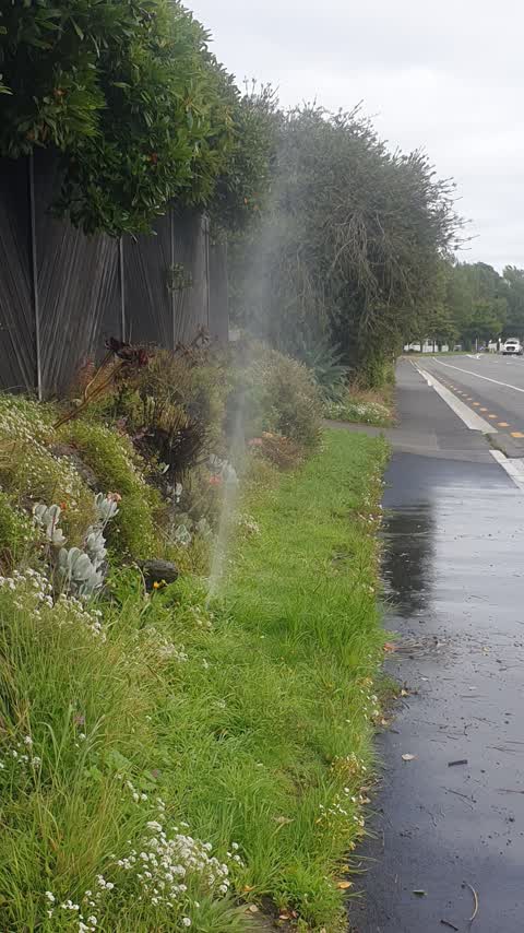 Water Leak, a report photo