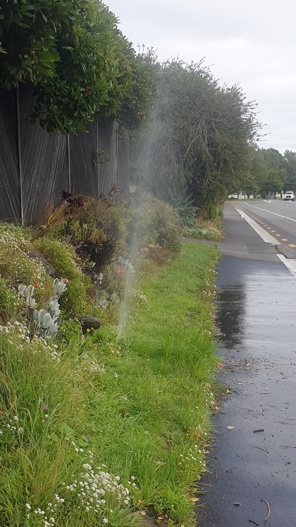 The photograph attached to this water leak report