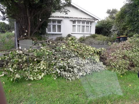 Rubbish/Recycling, a report photo