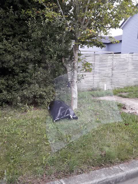 Rubbish/Recycling, a report photo