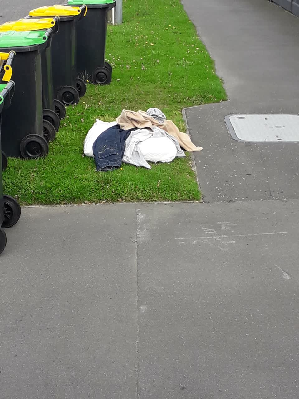 The photograph attached to this rubbish/recycling report