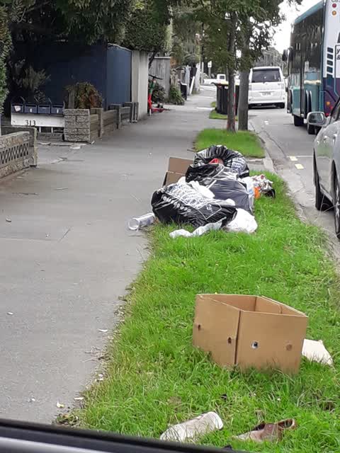 Rubbish/Recycling, a report photo
