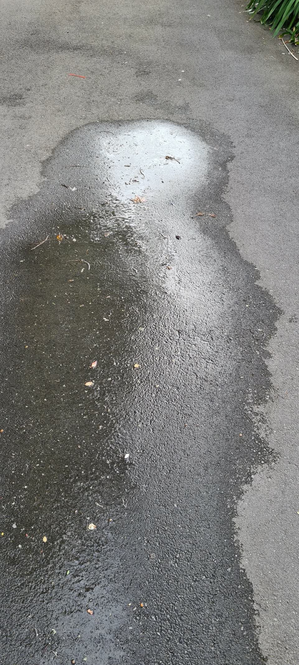 The photograph attached to this water leak report