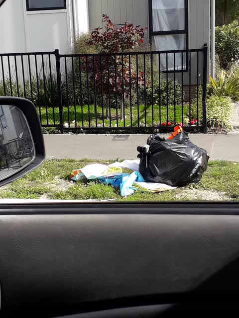 Rubbish/Recycling, a report photo