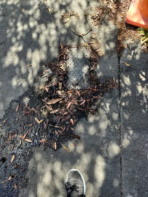 Water Leak, a report photo