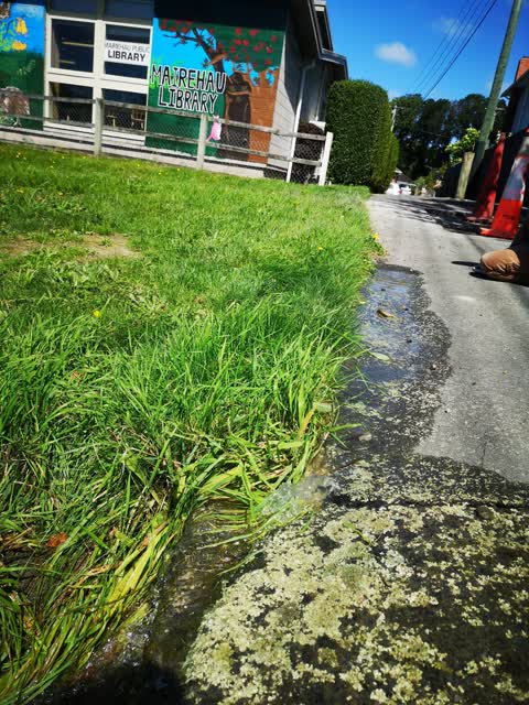 Water Leak, a report photo