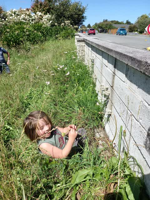 Parks, a report photo