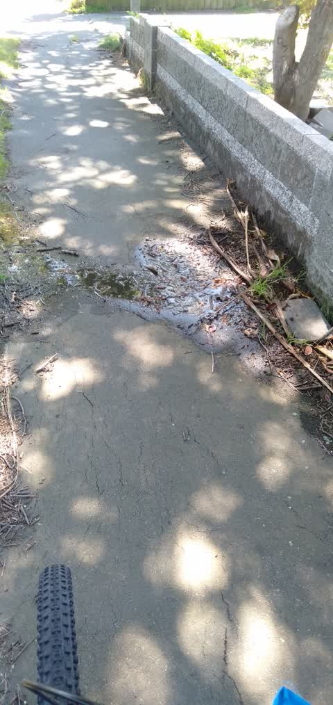 Water Leak, a report photo