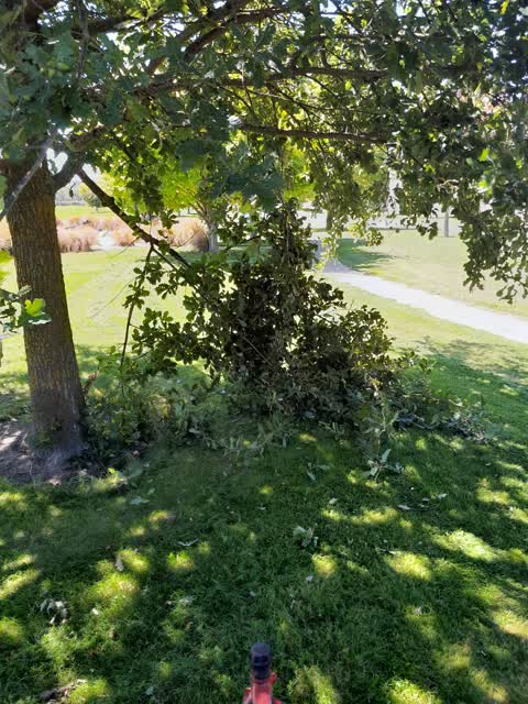 Parks — a report photo