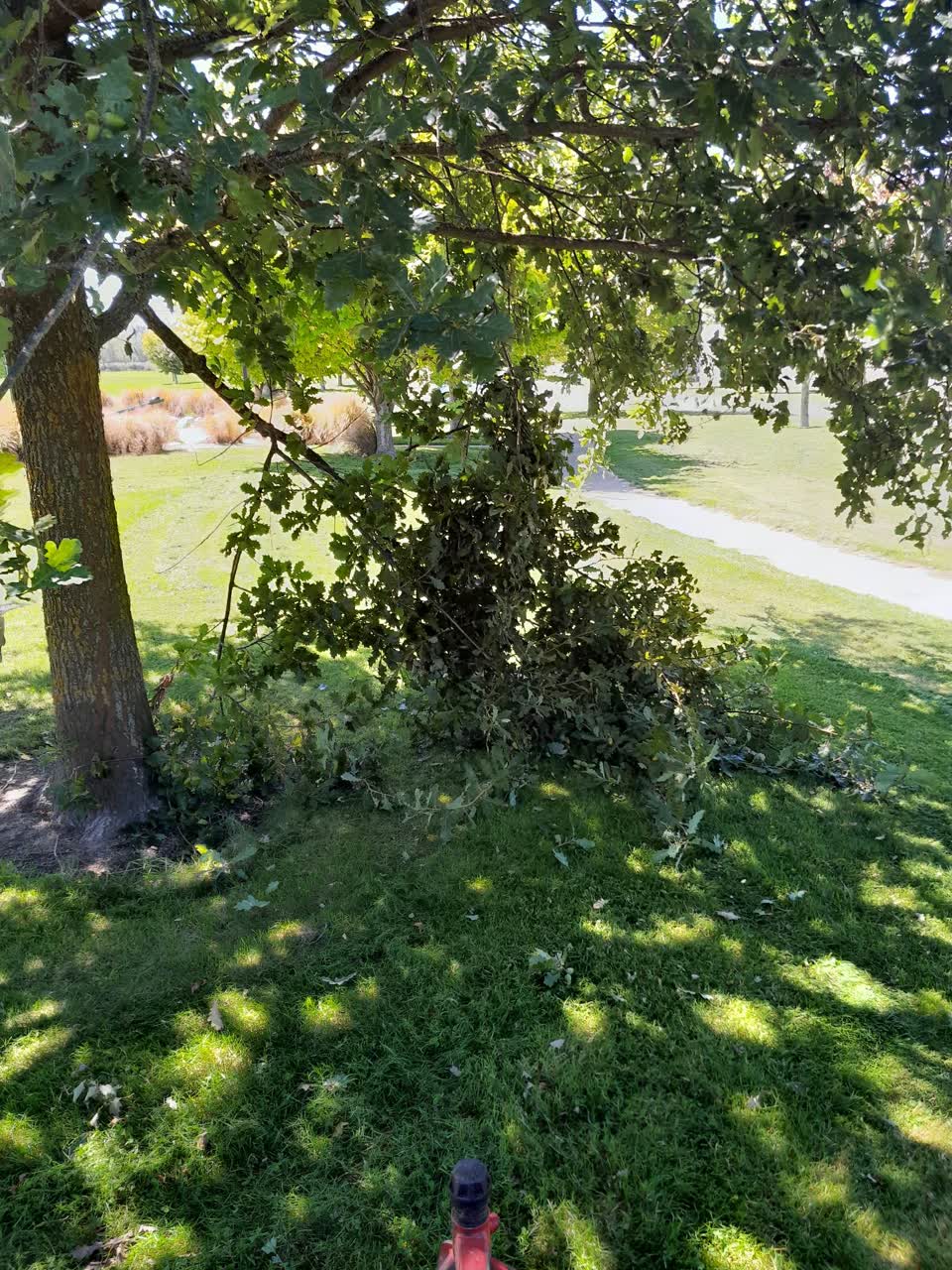 The photograph attached to this parks report