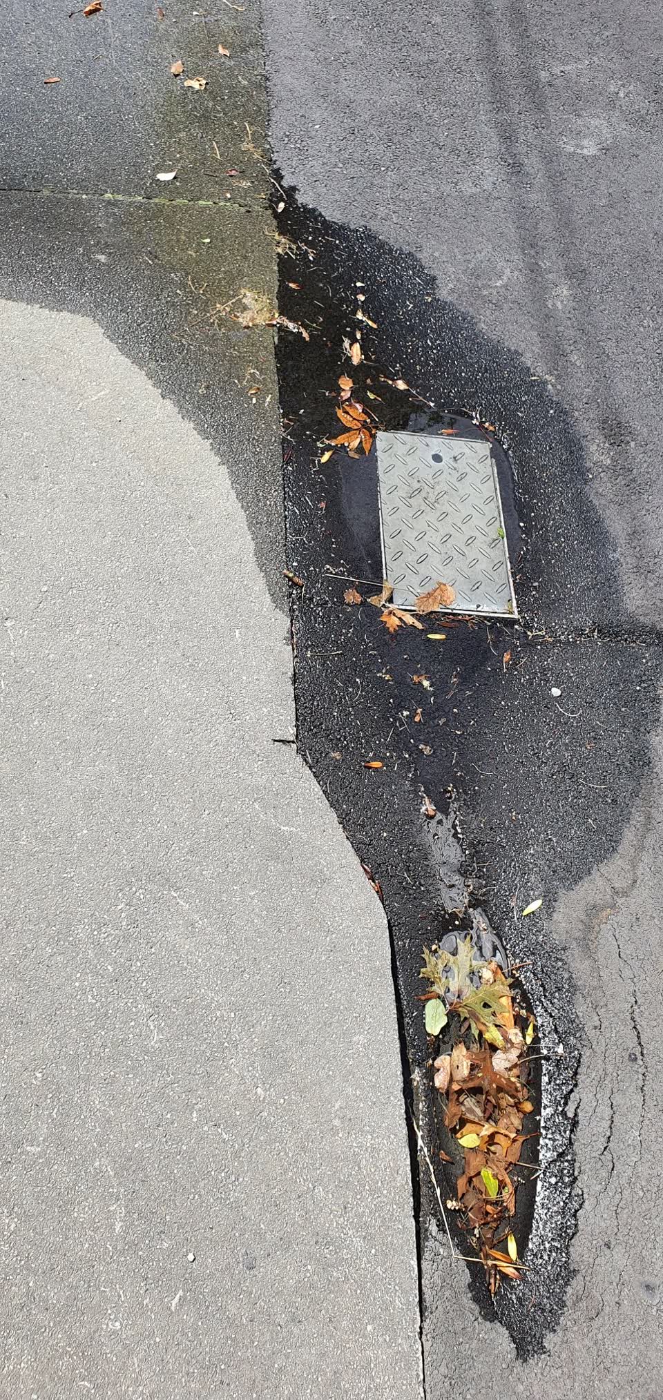 The photograph attached to this water leak report