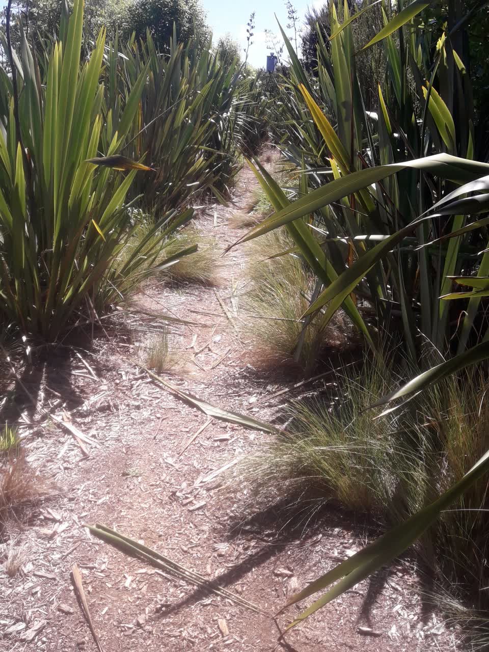The photograph attached to this parks report