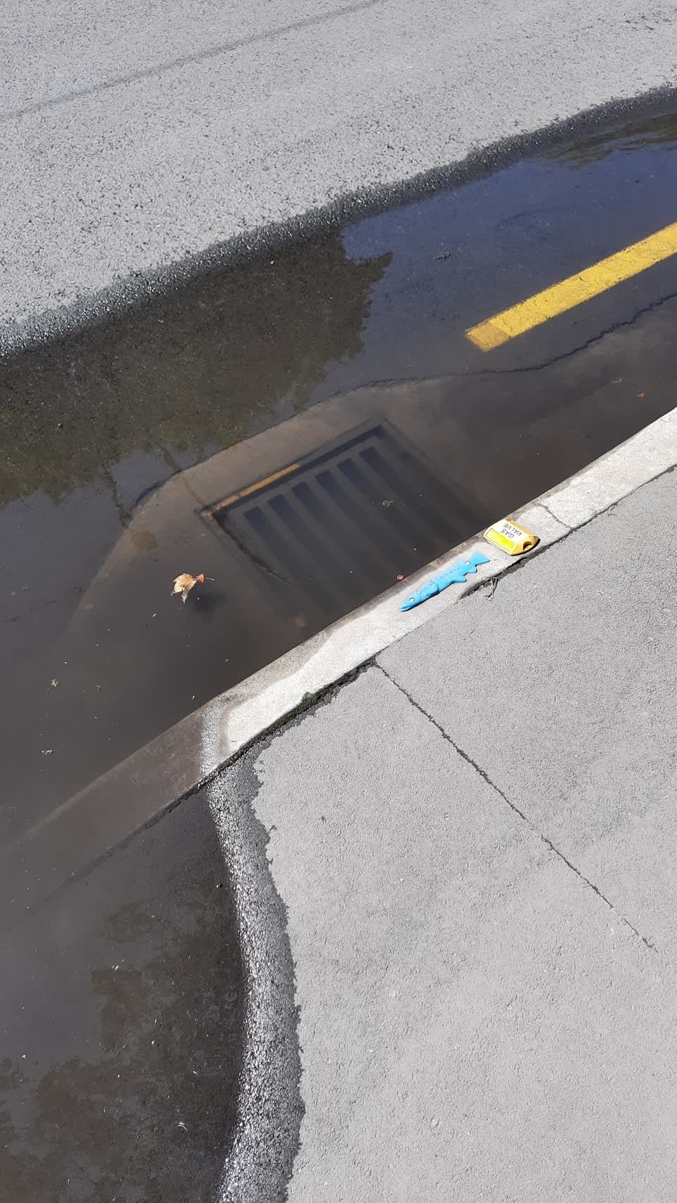The photograph attached to this flooding report