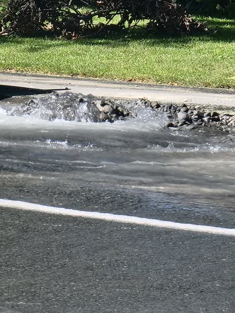Water Leak, a report photo