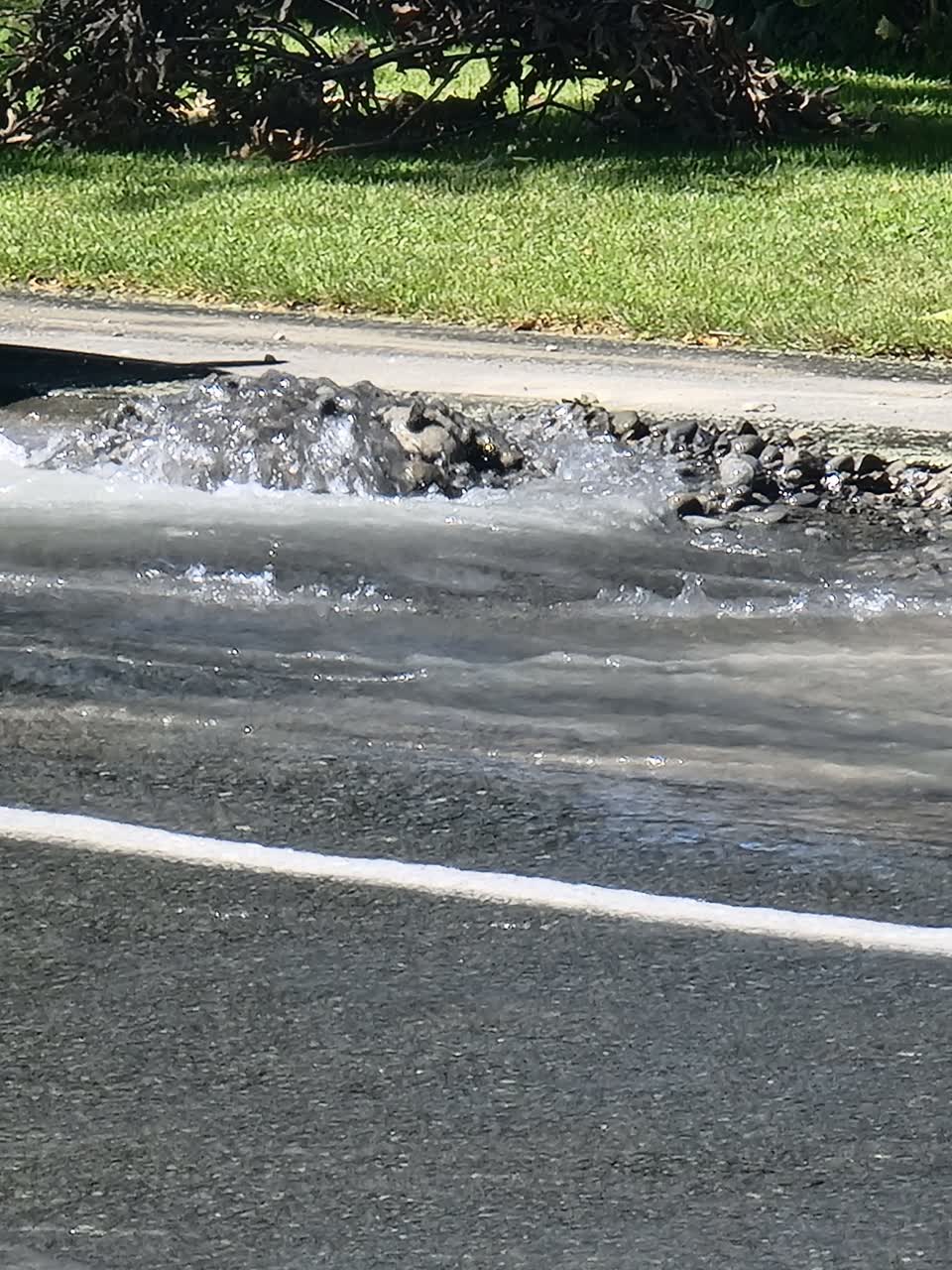 The photograph attached to this water leak report