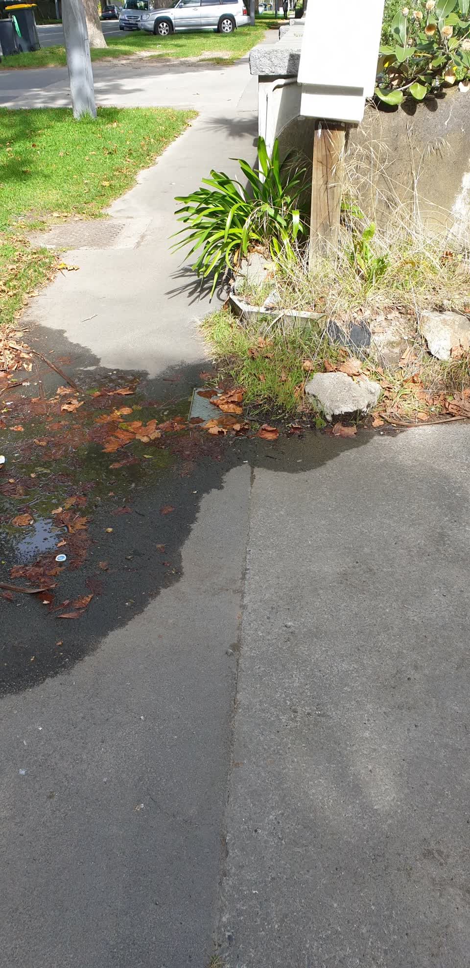 The photograph attached to this water leak report