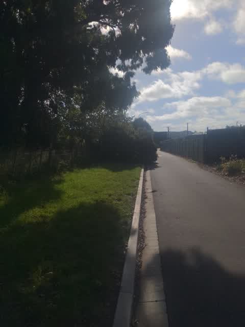 Roading/Streets, a report photo