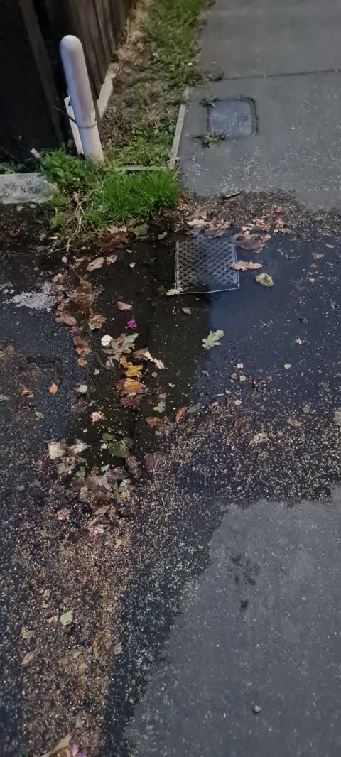 Water Leak, a report photo