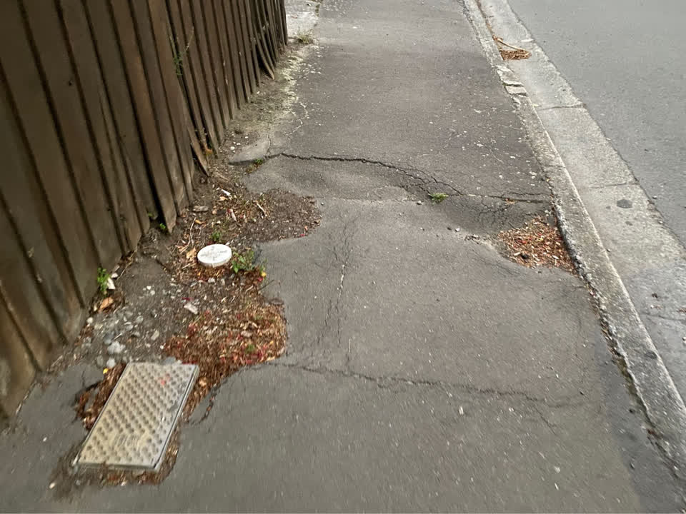 The photograph attached to this roading/streets report
