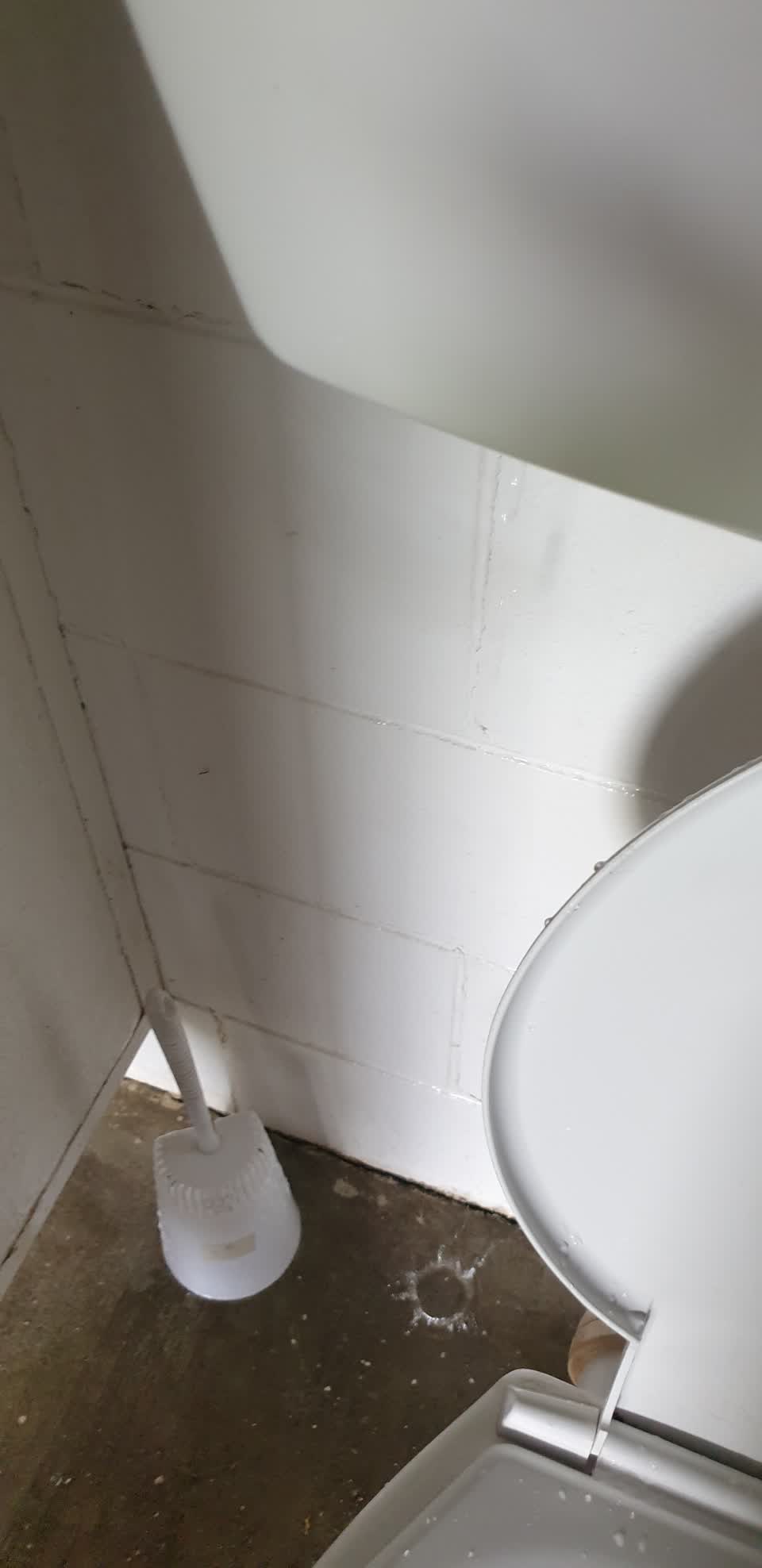 The photograph attached to this water leak report