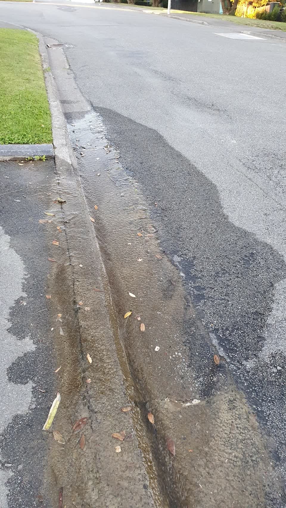 The photograph attached to this water leak report