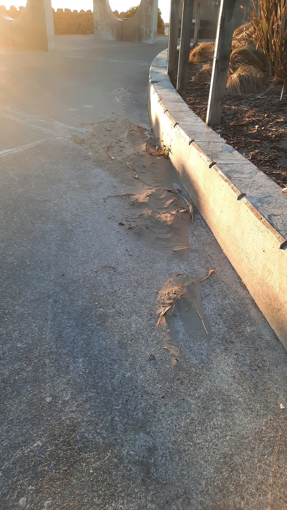 The photograph attached to this parks report