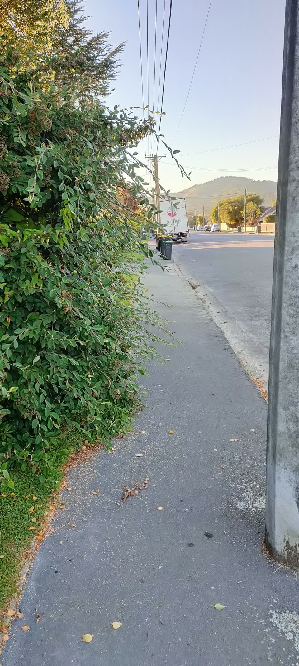 The photograph attached to this roading/streets report