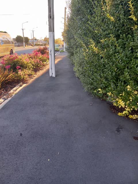 Roading/Streets, a report photo