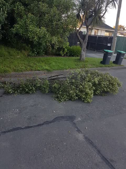 Parks, a report photo