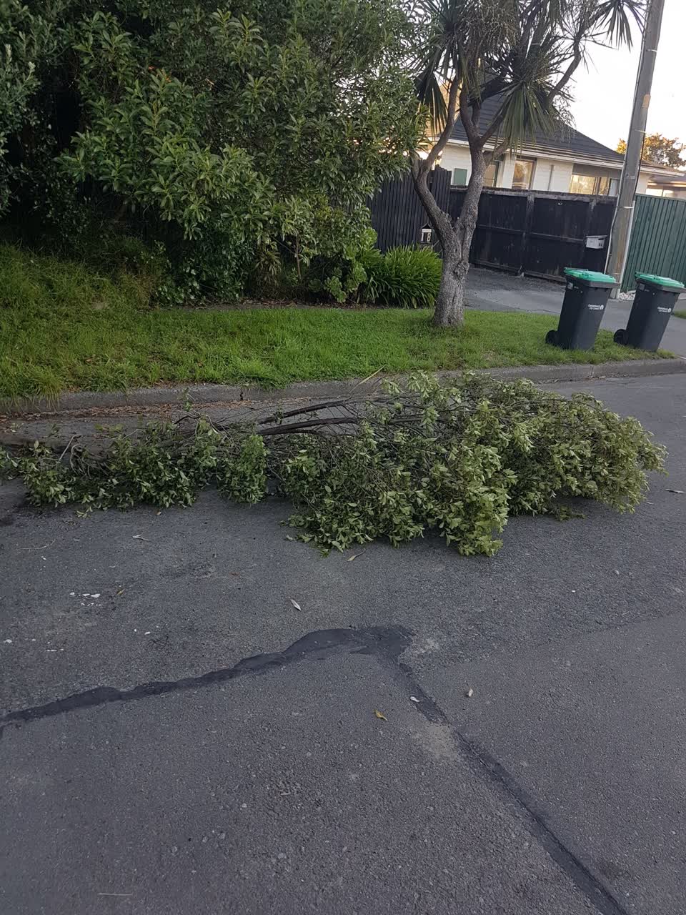 The photograph attached to this parks report