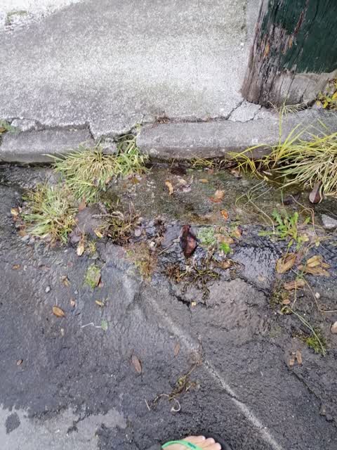 Water Leak, a report photo