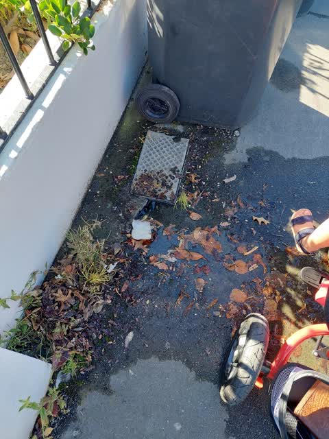 Sewer - Leak / Blockage, a report photo
