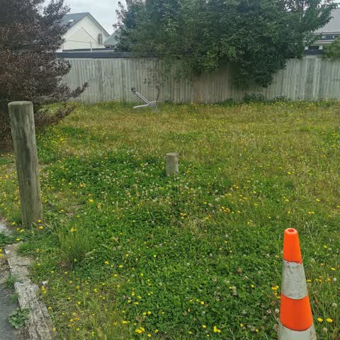 Parks, a report photo