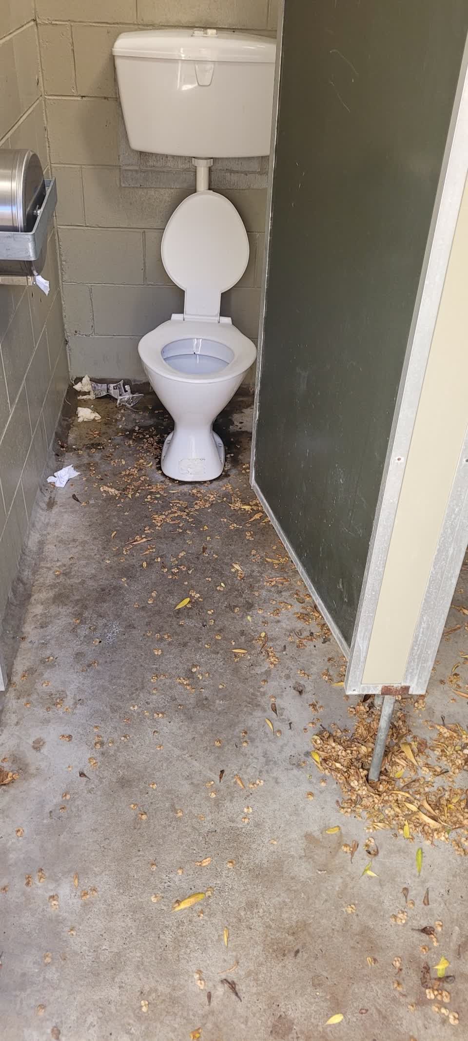 The photograph attached to this parks report