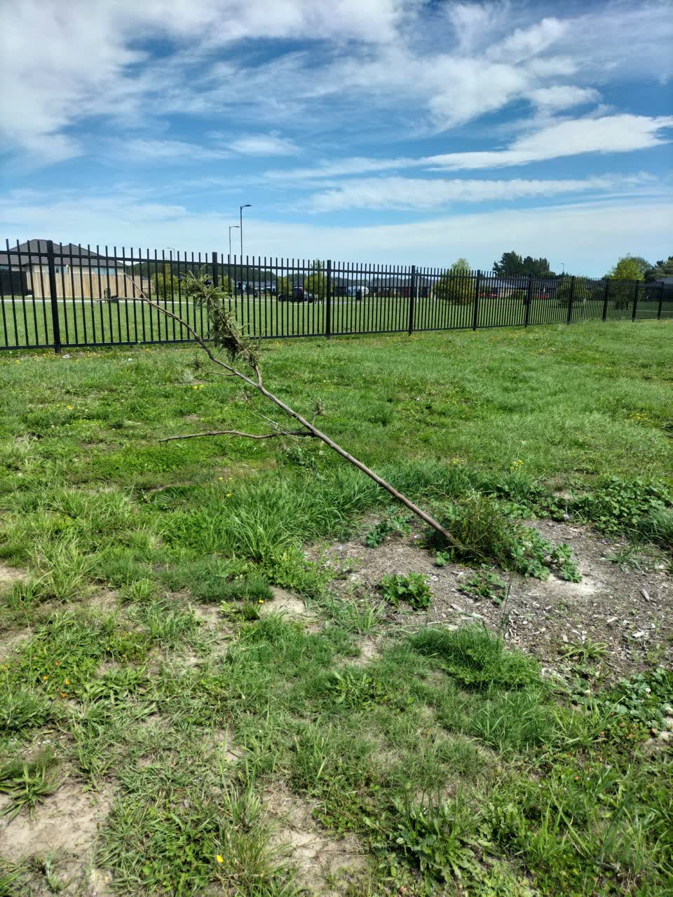 The photograph attached to this parks report