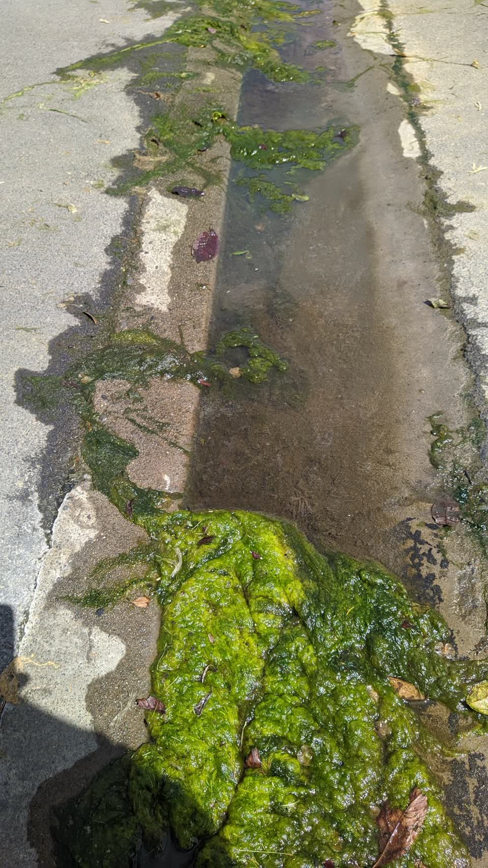 The photograph attached to this wastewater/stormwater report