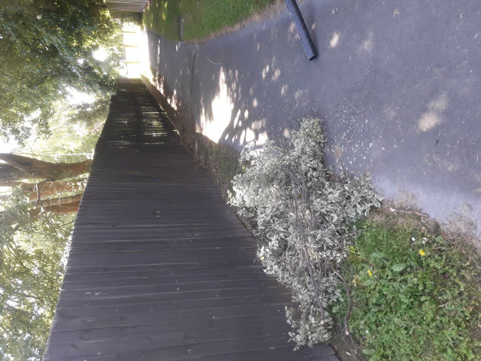 The photograph attached to this parks report