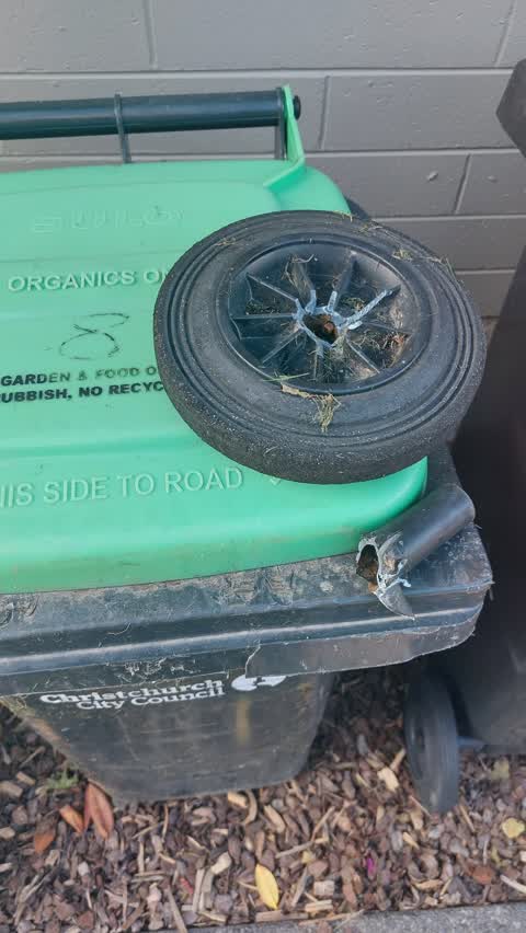 Rubbish/Recycling — a report photo
