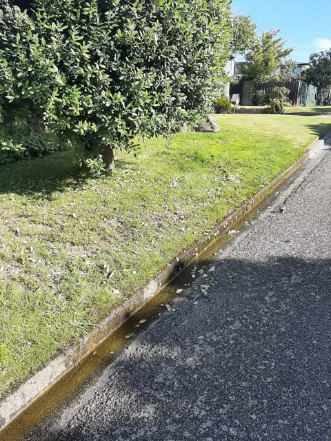 Water Leak, a report photo