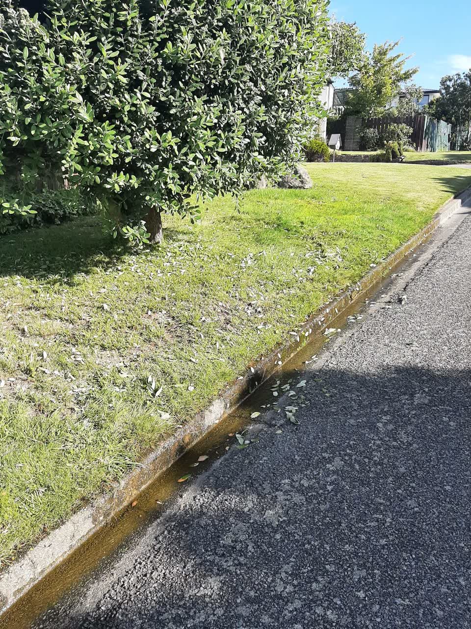 The photograph attached to this water leak report
