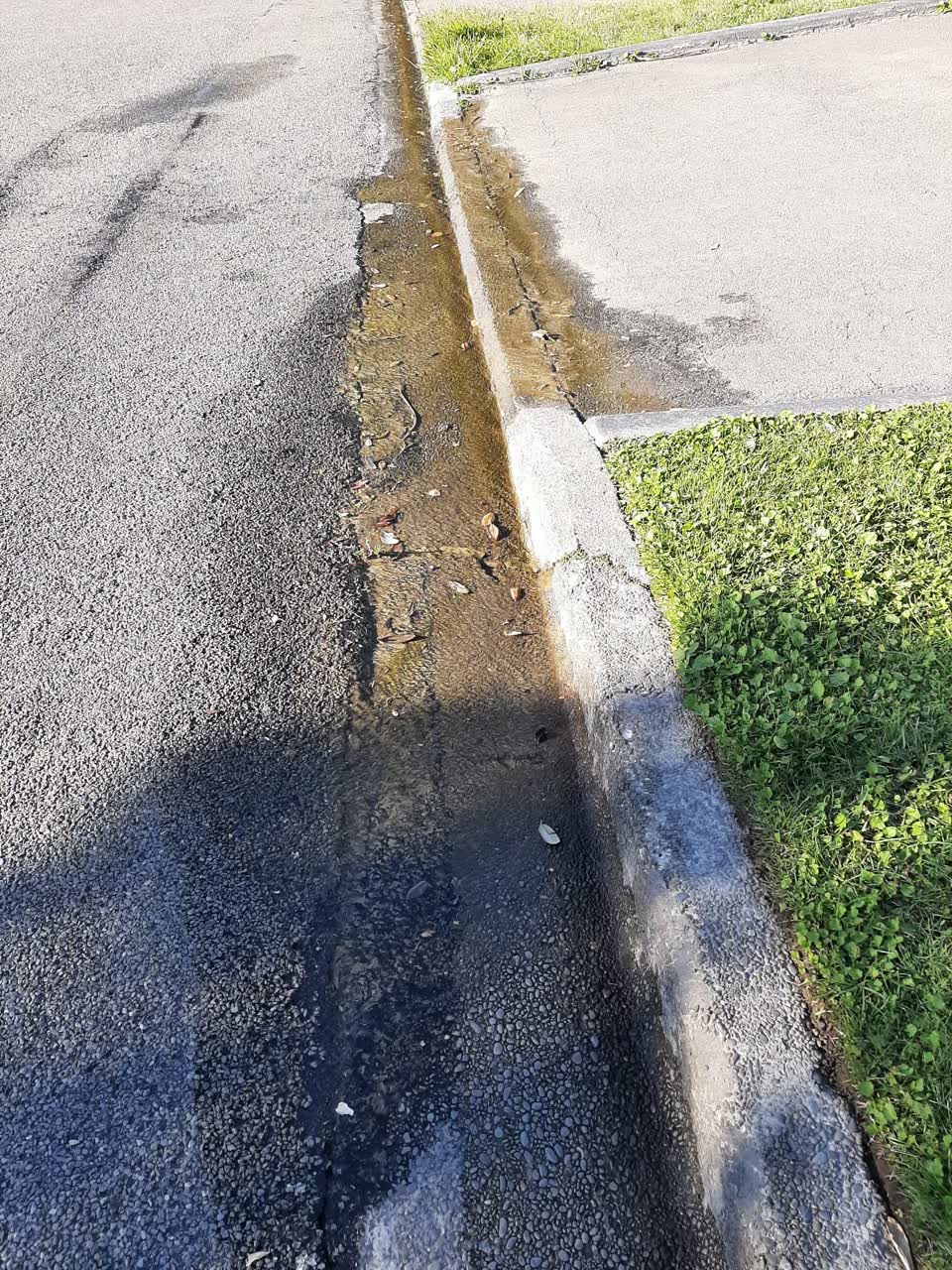 The photograph attached to this water leak report