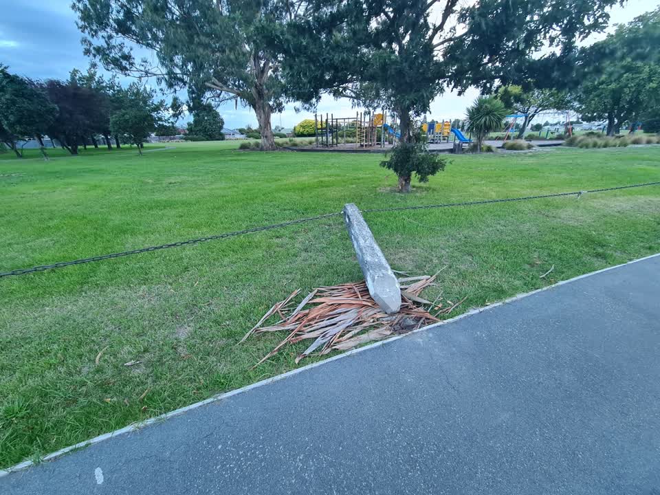 The photograph attached to this parks report