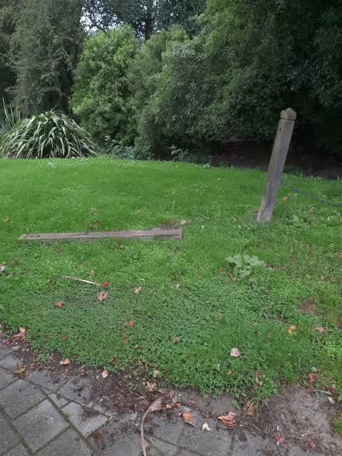 Parks, a report photo