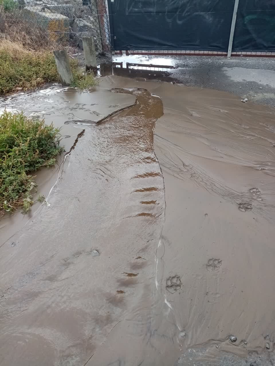 The photograph attached to this water leak report