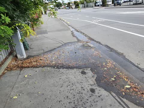 Water Leak, a report photo