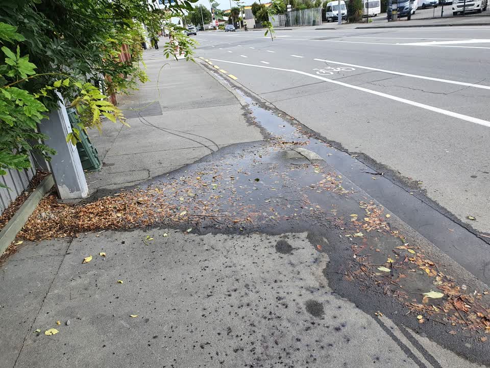 The photograph attached to this water leak report