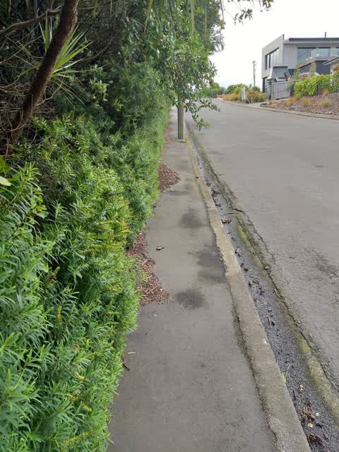 Roading/Streets — a report photo